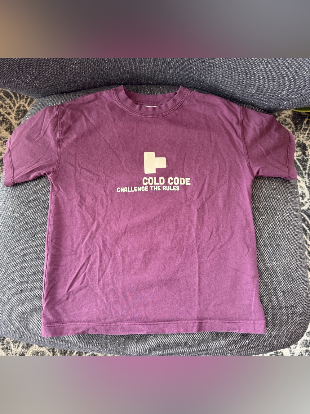 Zara Plum Crewneck Tee